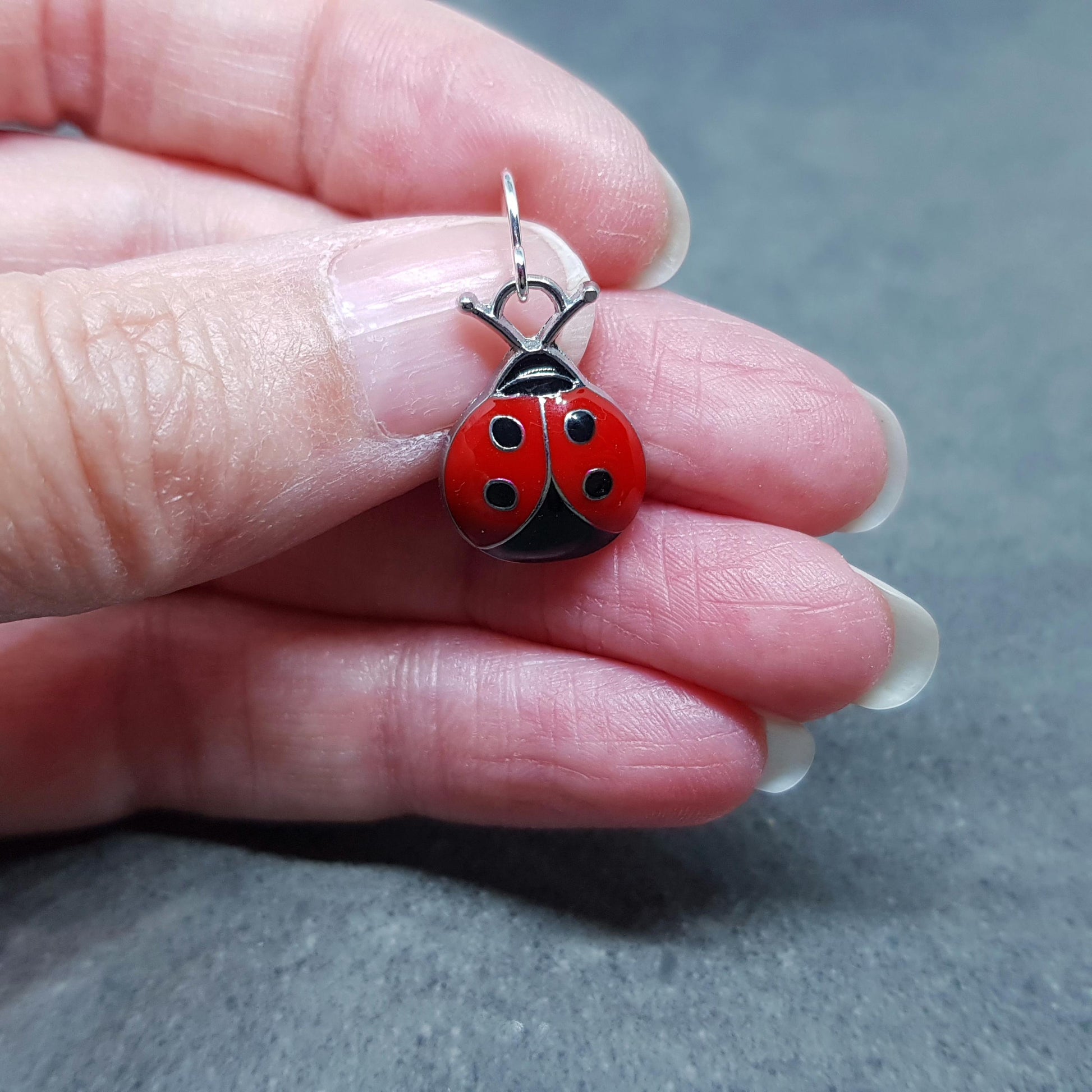 Ladybird Earrings, Hypoallergenic Ear Wires, Cute Earrings, Ladybird Gifts, Ladybird Jewellery