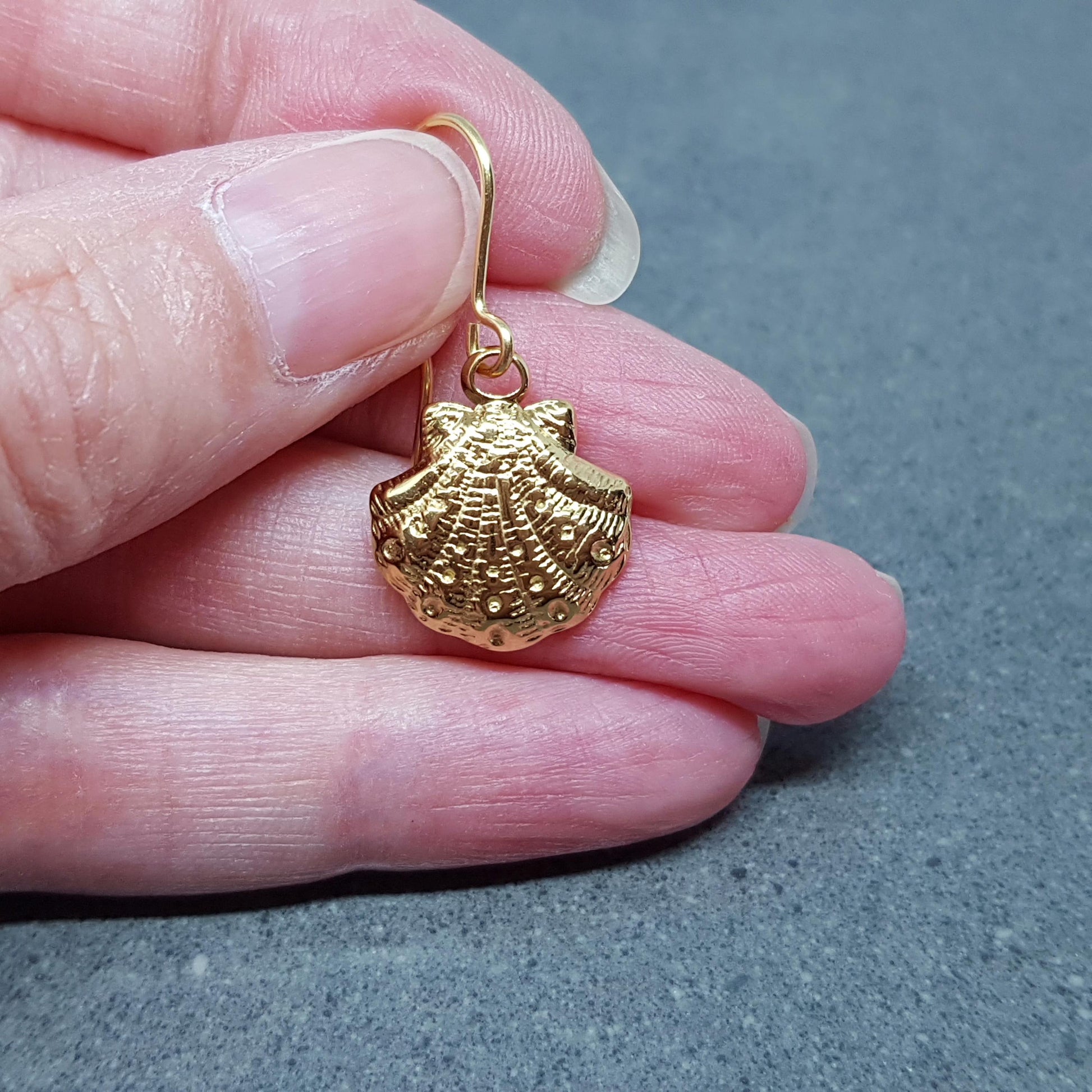 Shell Earrings with a choice of Ear Wires Ear, Stainless Steel 18k Gold Plated