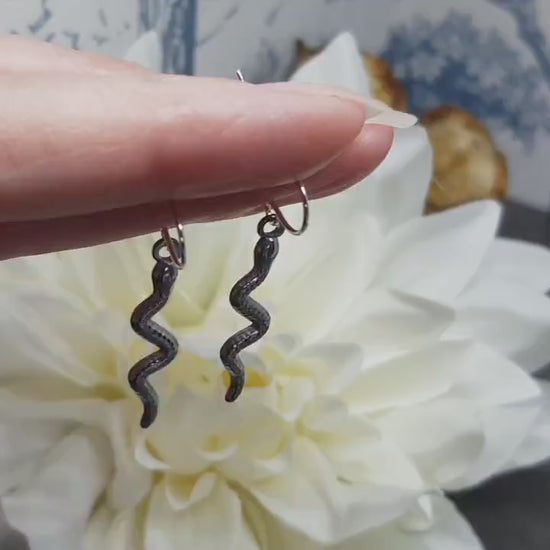 Snake Earrings, Hypoallergenic Ear Wires, Stainless Steel Snake Earrings, Silver Earrings
