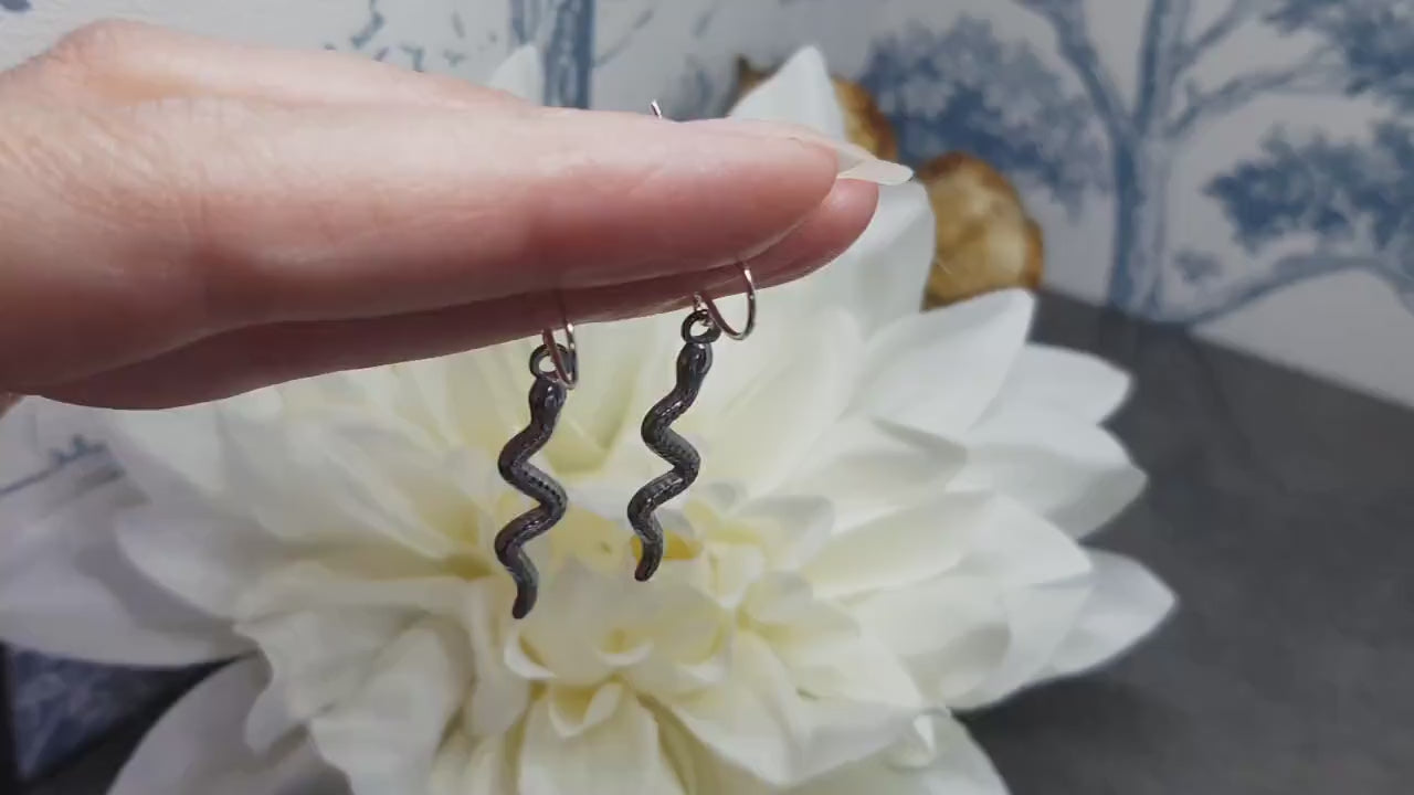 Snake Earrings, Hypoallergenic Ear Wires, Stainless Steel Snake Earrings, Silver Earrings