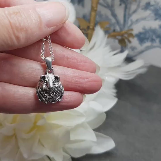 Guinea Pig Necklace, Guinea Pig Choker, Gift For Guinea Pig Owner, Pet Loss, Guinea Pig Jewellery