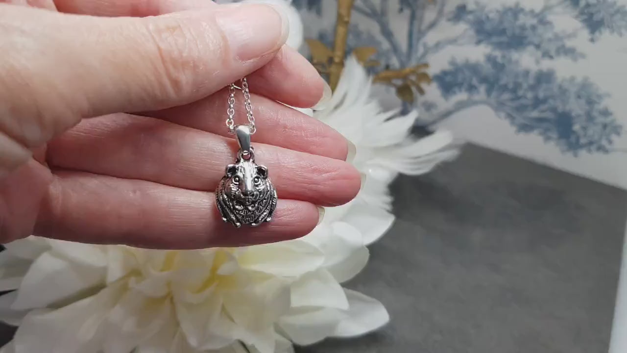Guinea Pig Necklace, Guinea Pig Choker, Gift For Guinea Pig Owner, Pet Loss, Guinea Pig Jewellery
