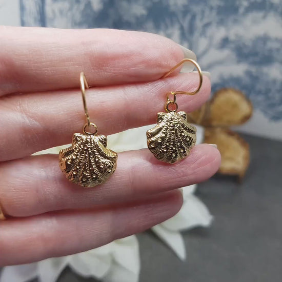 Shell Earrings with a choice of Ear Wires Ear, Stainless Steel 18k Gold Plated